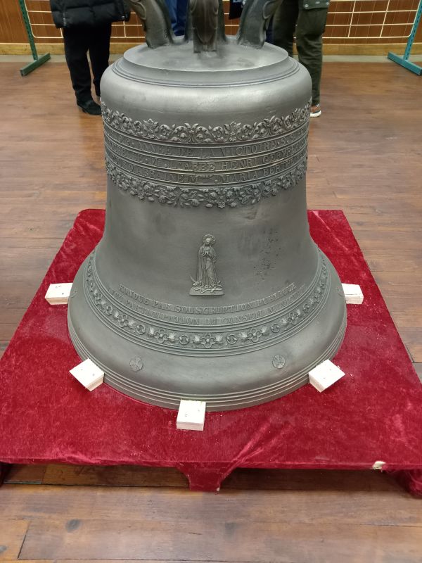 IMG 20241108 195510