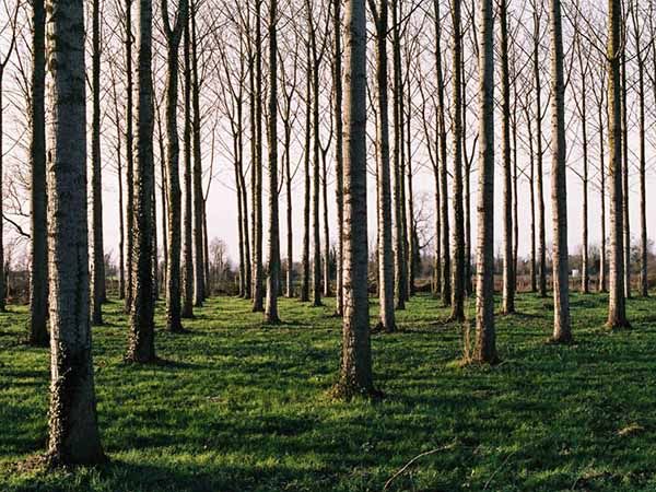 Histoire et patrimoine - Commune de Forges