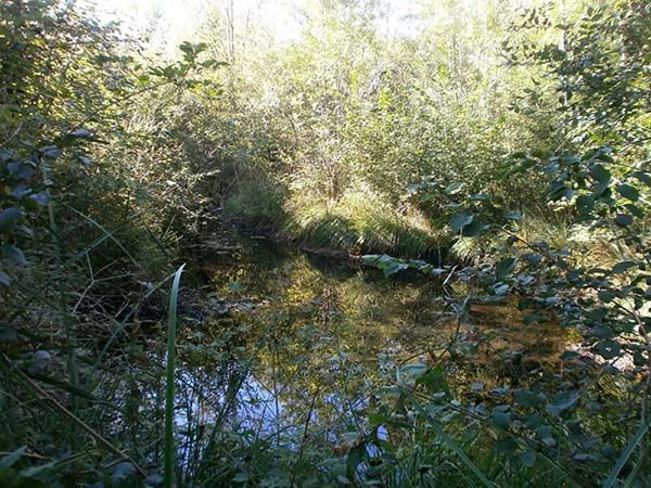 Histoire et patrimoine - Commune de Forges