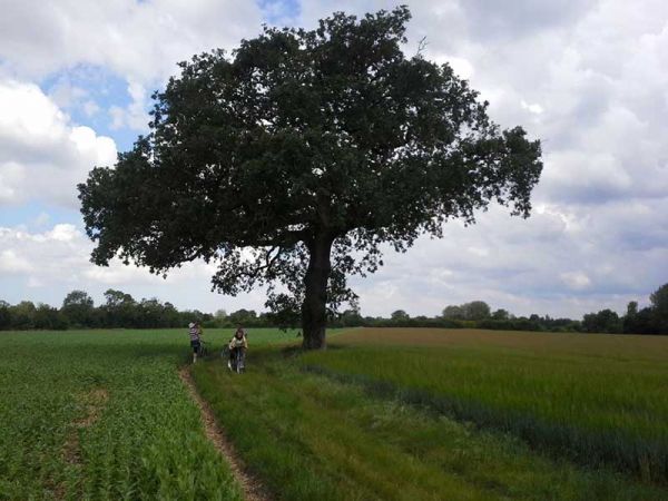 Histoire et patrimoine - Commune de Forges