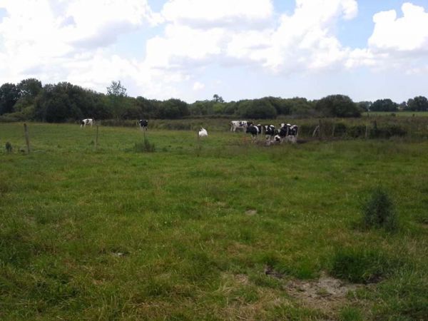 Histoire et patrimoine - Commune de Forges